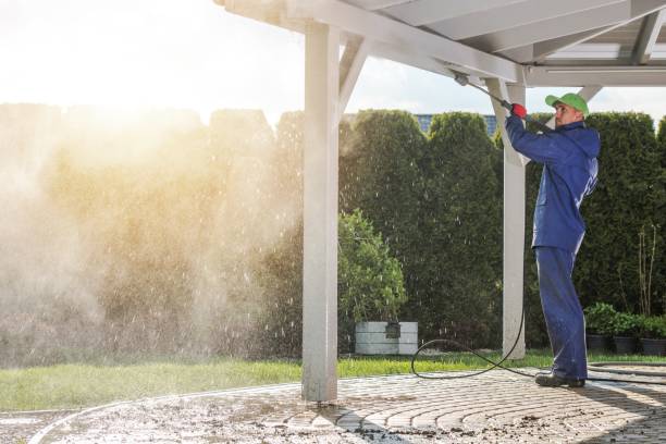 Best Soft Washing  in Brownfield, TX
